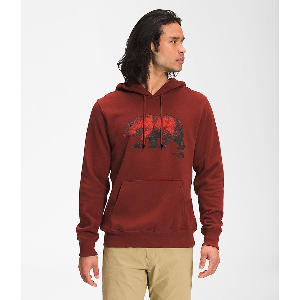 The North Face Hoodie Mens Australia - The North Face Tnf™ Bear Pullover Red (PLV-528439)